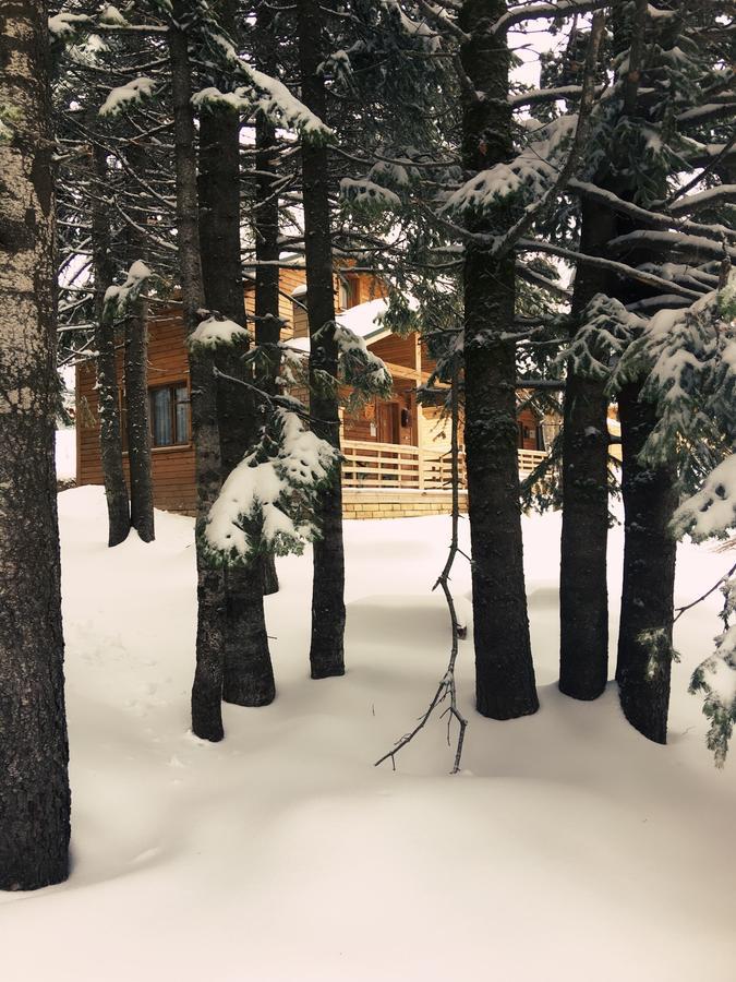 ブルサ Uludag Orman Koskleriヴィラ エクステリア 写真